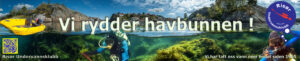 Vi rydde havbunnen